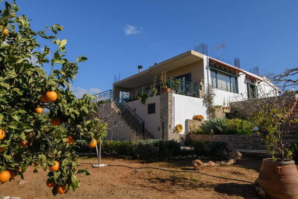 فيلا Kithia Vintage House Faneromeni  المظهر الخارجي الصورة