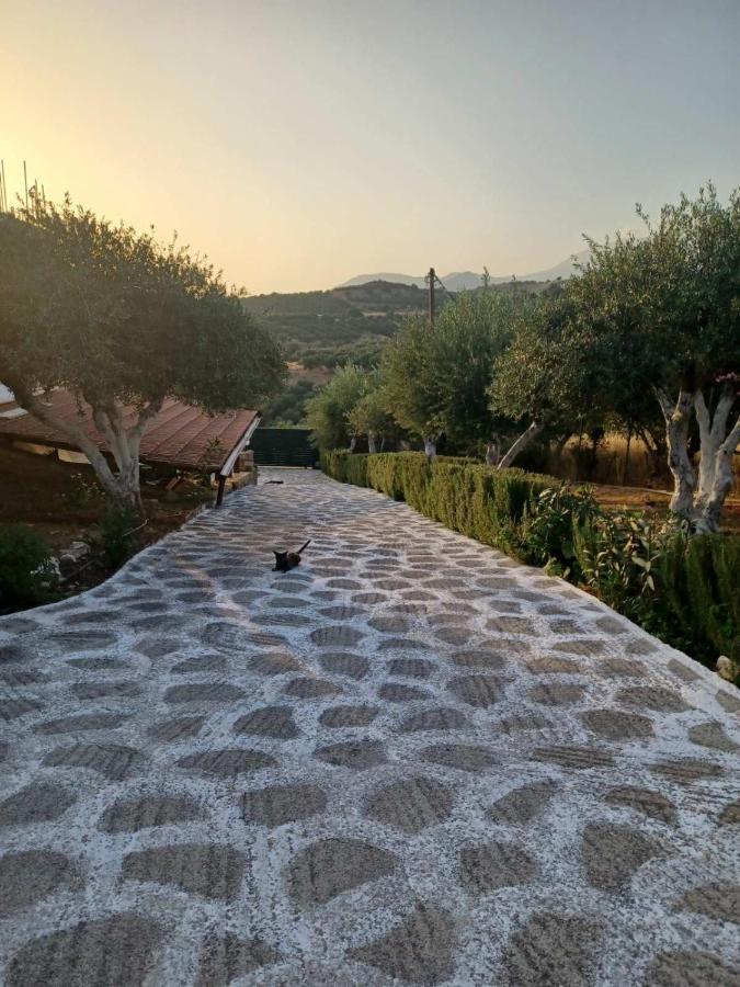 فيلا Kithia Vintage House Faneromeni  المظهر الخارجي الصورة