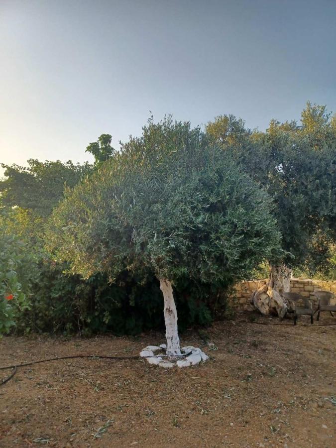فيلا Kithia Vintage House Faneromeni  المظهر الخارجي الصورة