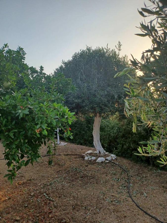 فيلا Kithia Vintage House Faneromeni  المظهر الخارجي الصورة