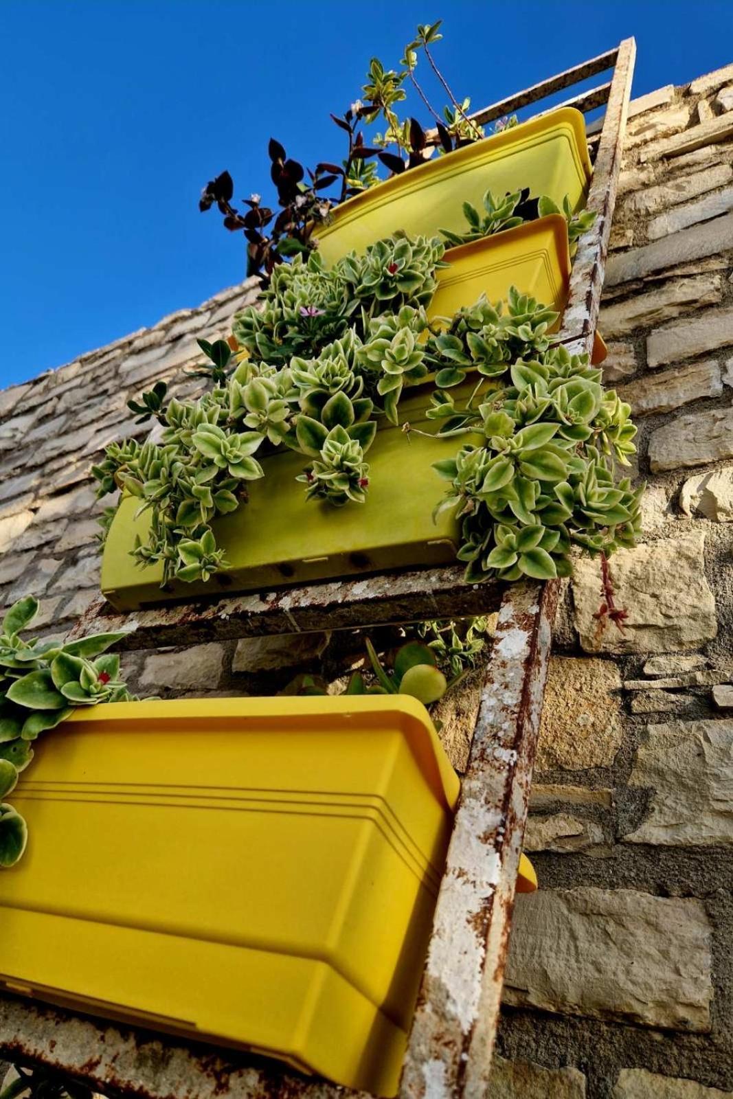 فيلا Kithia Vintage House Faneromeni  المظهر الخارجي الصورة